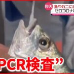【「ゼロコロナ政策」続く中国】魚やカニにも“PCR検査” 海産物からの感染警戒し…