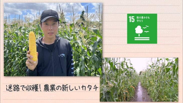 【SDGs】迷路で収穫！農業の新しいカタチ (2022/8/27）