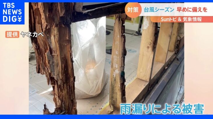 必見！台風シーズンの雨漏り対策！【SUNトピ】｜TBS NEWS DIG