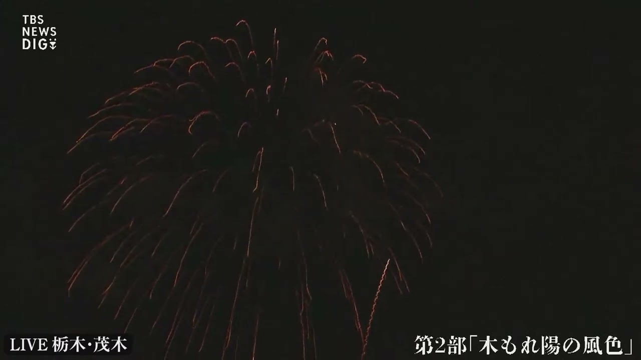 【切り抜き】花火の祭典 TO THE NEXT STAGE モビリティリゾートもてぎ 栃木からライブ配信 | TBS NEWS DIG (2022年8月14日)