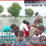 【パキスタン洪水】WFP現地代表“早急な支援を”