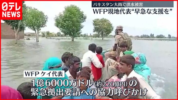 【パキスタン洪水】WFP現地代表“早急な支援を”