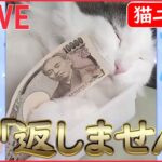 【猫ライブ】1万円札をめぐる猫との攻防/竿を片手に…釣りするネコ/掃除ロボ乗りこなすネコ など （日テレNEWS LIVE）