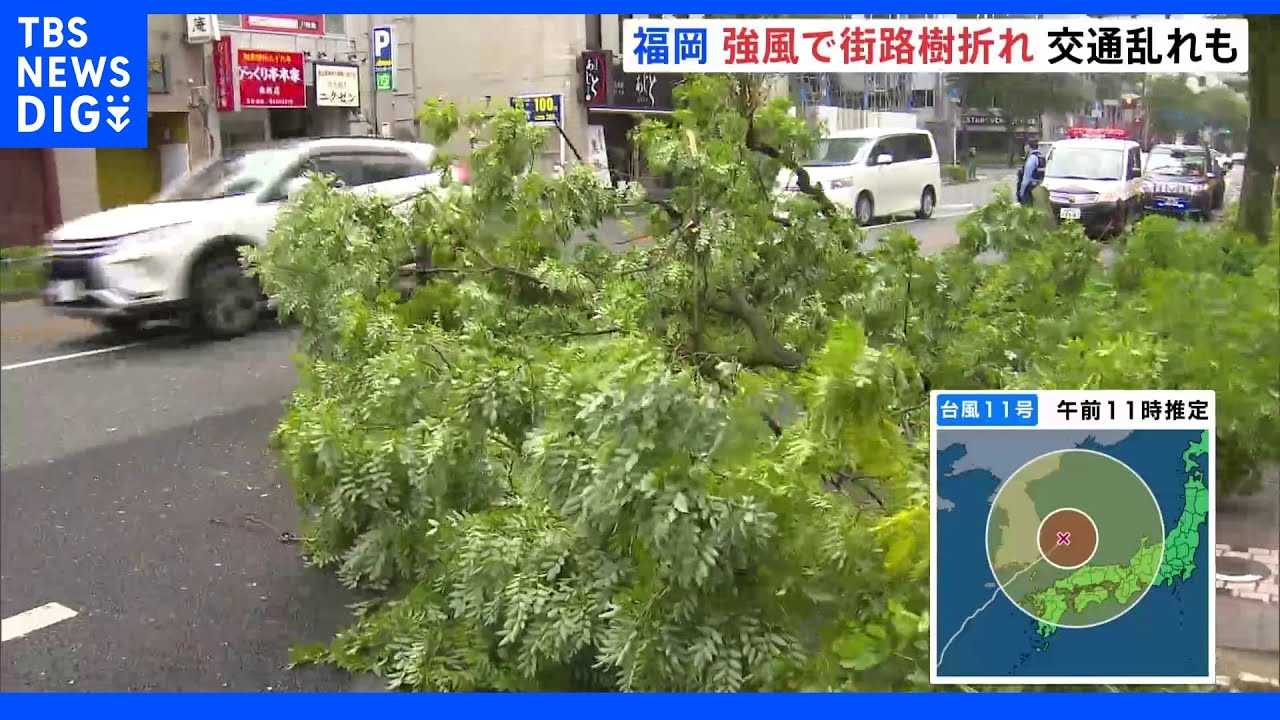 「街路樹が折れ、道路を塞ぐ…」台風11号 けさ九州北部に最接近 一時、猛烈な風|TBS NEWS DIG