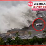 【台風11号】被害韓国でも…波が堤防を越えパトカーに