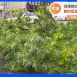 台風11号　九州で倒木など各地で被害が…北陸などではフェーン現象で猛烈な暑さで観測史上1位タイの場所も｜TBS NEWS DIG