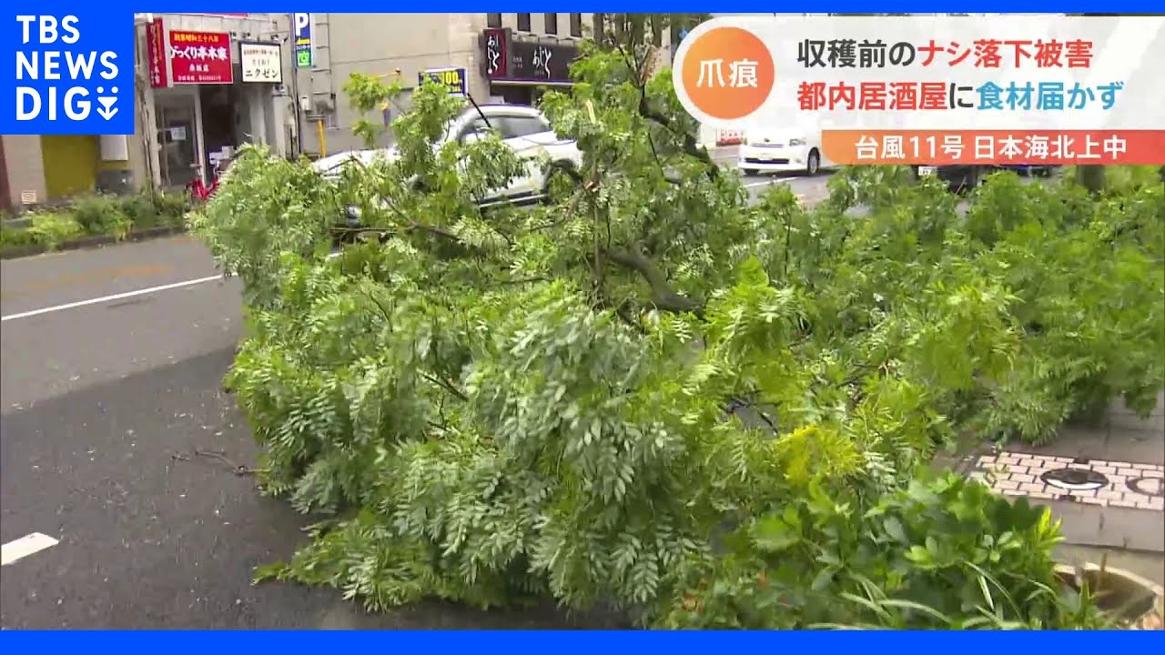 台風11号 九州で倒木など各地で被害が…北陸などではフェーン現象で猛烈な暑さで観測史上1位タイの場所も|TBS NEWS DIG