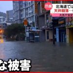 【台風11号】温帯低気圧に変化…各地に爪痕 韓国で地下駐車場に浸水し8人死亡も