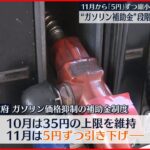 【ガソリンの補助金】段階的に引き下げへ　11月から5円ずつ縮小で調整