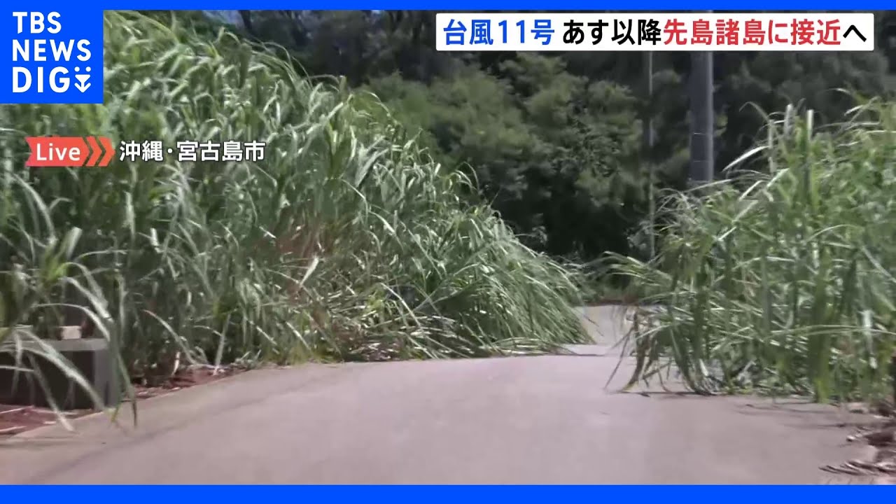 台風11号 宮古島の様子は? 住家が倒壊するおそれもある猛烈な風が吹くおそれ|TBS NEWS DIG