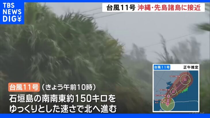 台風11号は夜にも先島諸島に接近する見込み　宮古島市では暴風警報　“民家倒壊する恐れ”暴風に厳重な警戒を【記者中継】｜TBS NEWS DIG
