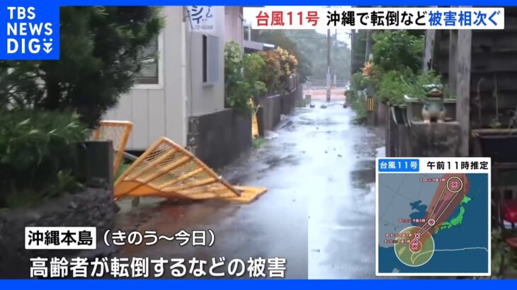 台風11号　暴風域の沖縄・宮古島　街路樹倒れ冠水…強風で煽られ高齢者転倒も　厳重警戒続く｜TBS NEWS DIG