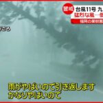 【台風11号】沖縄では倒木被害相次ぐ スーパーでは食料品が品薄に