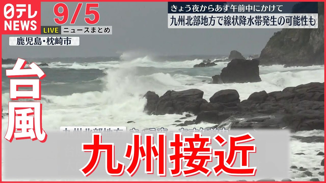 【ライブ】台風11号 九州北部は今夜暴風域に… / 佐倉市長“統一教会”集会に公務で出席/新宿や目黒にも都心にタヌキ出没　など：最新ニュース（日テレNEWSLIVE）