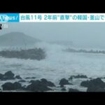 「これまでに経験ない」台風11号　韓国・釜山でも警戒(2022年9月5日)