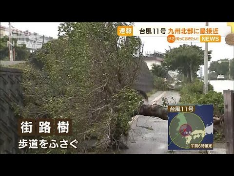 【台風11号】宮古島で街路樹が…被害相次ぎ明らかに(2022年9月6日)