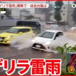 【関東で暴風雨】“台風11号”も要因の1つ 週明けには九州に接近の恐れ