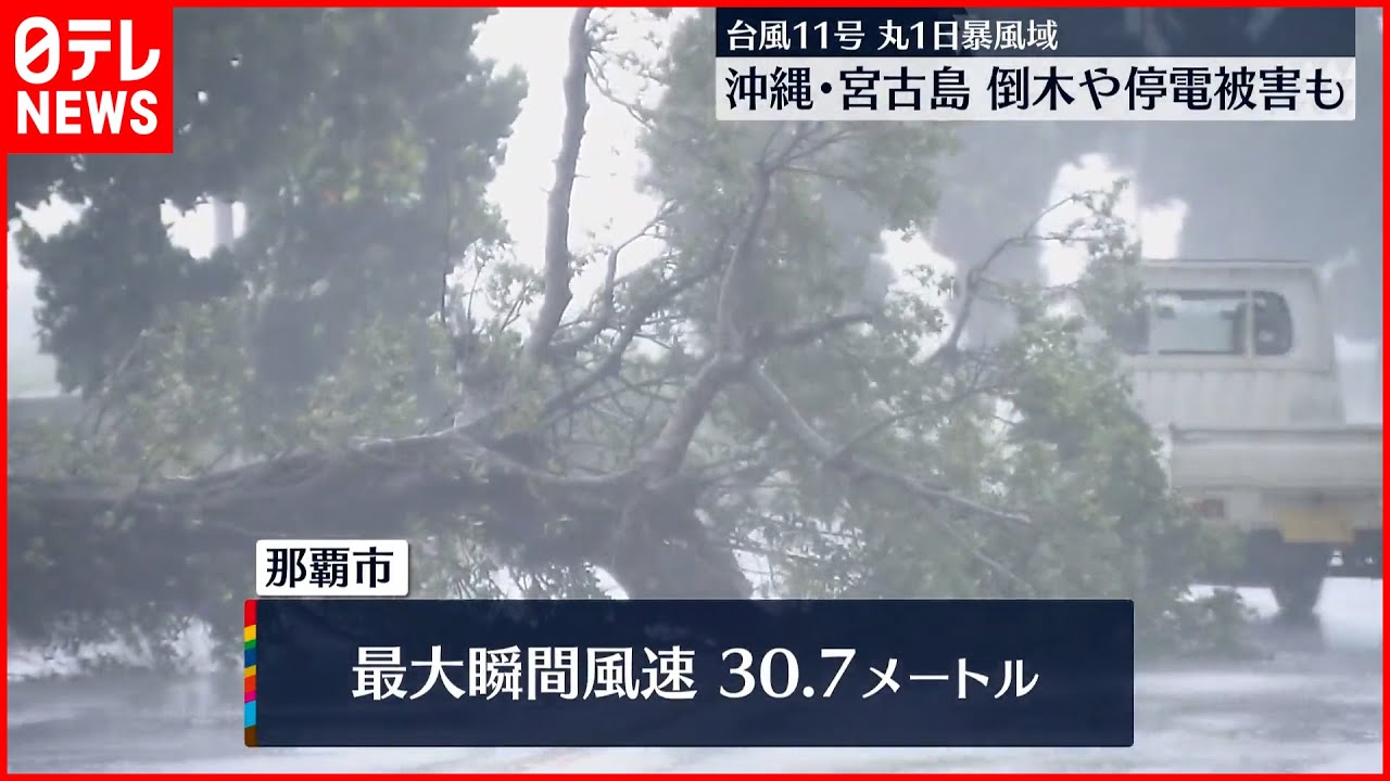【台風11号】丸1日暴風域…沖縄・宮古島 倒木や停電被害も