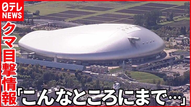 【今日の1日】台風14号…3連休を“直撃”か 札幌ドームでクマ目撃情報