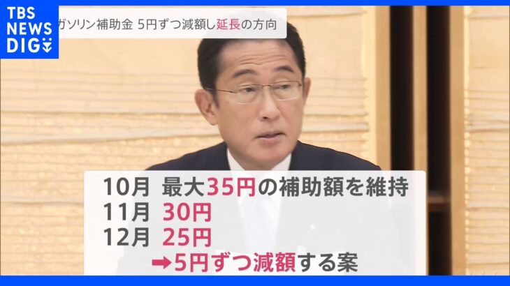 政府　ガソリン補助金延長へ　11月以降は5円ずつ補助額減らす方針｜TBS NEWS DIG