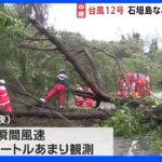 各地で倒木相次ぐ…台風12号で暴風警戒続く沖縄・石垣島 熱帯低気圧が今後台風へ 週末には列島に影響も｜TBS NEWS DIG