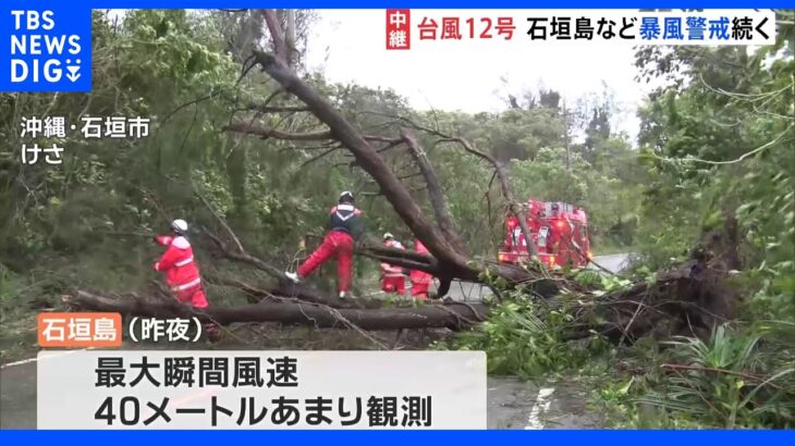 各地で倒木相次ぐ…台風12号で暴風警戒続く沖縄・石垣島 熱帯低気圧が今後台風へ 週末には列島に影響も｜TBS NEWS DIG