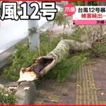 【台風12号】石垣島では停電も…長引く生活への影響 シルバーウイークも注意