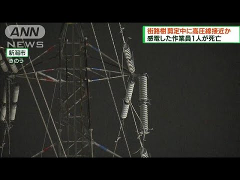 街路樹 剪定中に高圧線接近か　作業員1人が死亡(2022年9月4日)