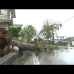 台風12号で長引く影響　沖縄は大雨、暴風、高波(2022年9月13日)