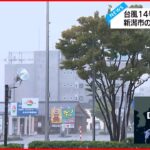 【台風14号】新潟県に上陸 現在の様子は？ 小中学校では“休校”も