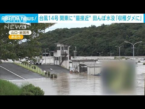 【台風14号】被害が明らかに…“土砂崩れ”軽トラ落下寸前　田んぼ水没「収穫ダメに」(2022年9月20日)