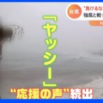 「ヤッシーがんばれ！」台風14号の強風と“戦う姿”に応援の声続出！ホテルのライブカメラが捉えた“ヤッシー”とは！？｜TBS NEWS DIG