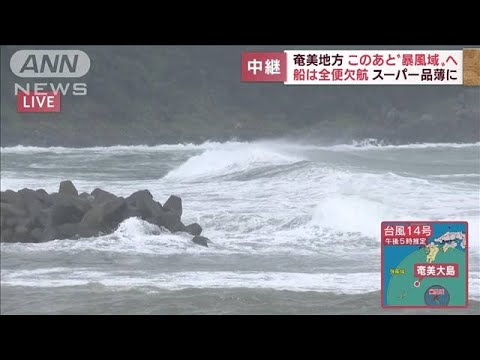 【台風14号】奄美地方　このあと“暴風域”へ…船は全便欠航、スーパー品薄に(2022年9月17日)