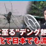 【デング熱】「今年すでに14人死亡」一年中“蚊”がいるタイ 対策は？温暖化で日本でも流行？実態を解説｜バンコク支局・久須美慎記者