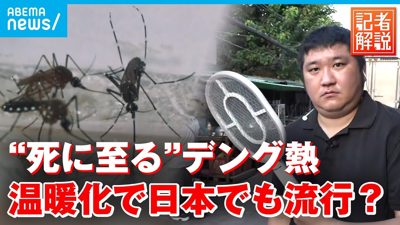 【デング熱】「今年すでに14人死亡」一年中“蚊”がいるタイ 対策は？温暖化で日本でも流行？実態を解説｜バンコク支局・久須美慎記者