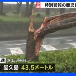 各地で木や標識が倒れる強風…台風14号接近、鹿児島市と屋久島で最大瞬間風速43.5メートル観測　最大級の警戒を｜TBS NEWS DIG