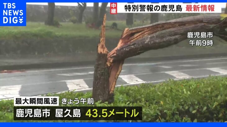 各地で木や標識が倒れる強風…台風14号接近、鹿児島市と屋久島で最大瞬間風速43.5メートル観測　最大級の警戒を｜TBS NEWS DIG