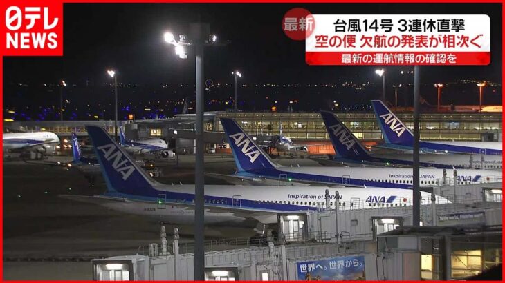 【空の便】台風14号の影響 欠航相次ぐ JAL101便・ANA10便など