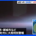 台風14号　宮崎県内で11の市町村に大雨特別警報　強風による転倒などで10人けが｜TBS NEWS DIG