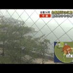 【台風14号】接近の広島「宮島」の様子は？(2022年9月19日)