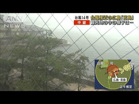 【台風14号】接近の広島「宮島」の様子は？(2022年9月19日)