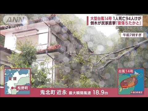 【台風14号】「雷落ちたかと」倒木が民家直撃　30m超の“暴風”ベランダ落下も…(2022年9月19日)