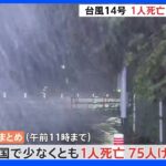 台風14号　各地で被害　宮崎で60代の男性1人が死亡、全国で少なくとも75人けが｜TBS NEWS DIG