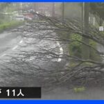 台風14号が通過した鹿児島　暴風雨の爪痕多数｜TBS NEWS DIG
