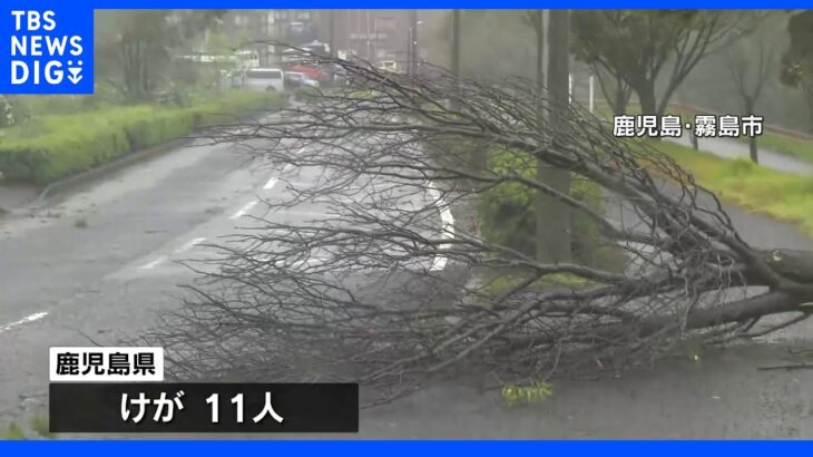 台風14号が通過した鹿児島　暴風雨の爪痕多数｜TBS NEWS DIG