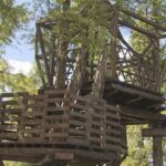 約150人の大学生がつくった『ツリーハウス』は“地産地消”型　木材は県内産だけ使用（2022年9月11日）