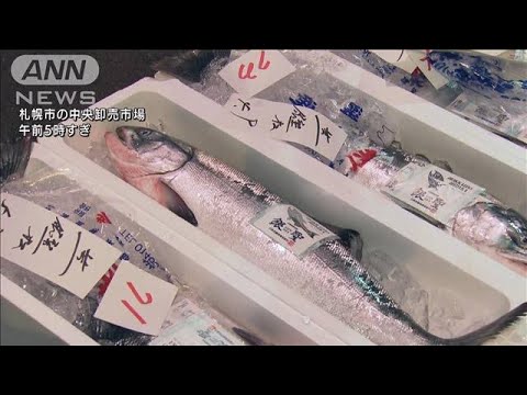 北海道で秋サケ初競り　1Kg1万3999円の最高値(2022年9月3日)