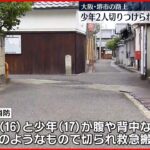 【殺人未遂】「ケンカになり刺された」少年2人が何者かに切り付けられる　大阪・堺市