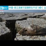 中国・長江流域で干ばつ続く　相次ぐ山火事も…(2022年9月20日)