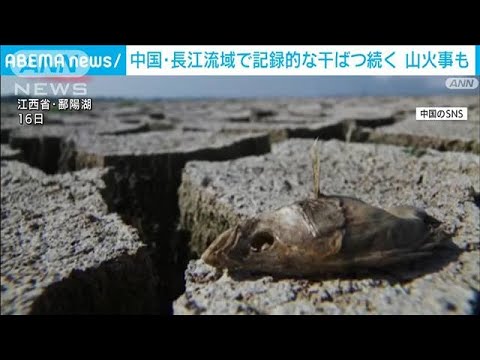 中国・長江流域で干ばつ続く　相次ぐ山火事も…(2022年9月20日)